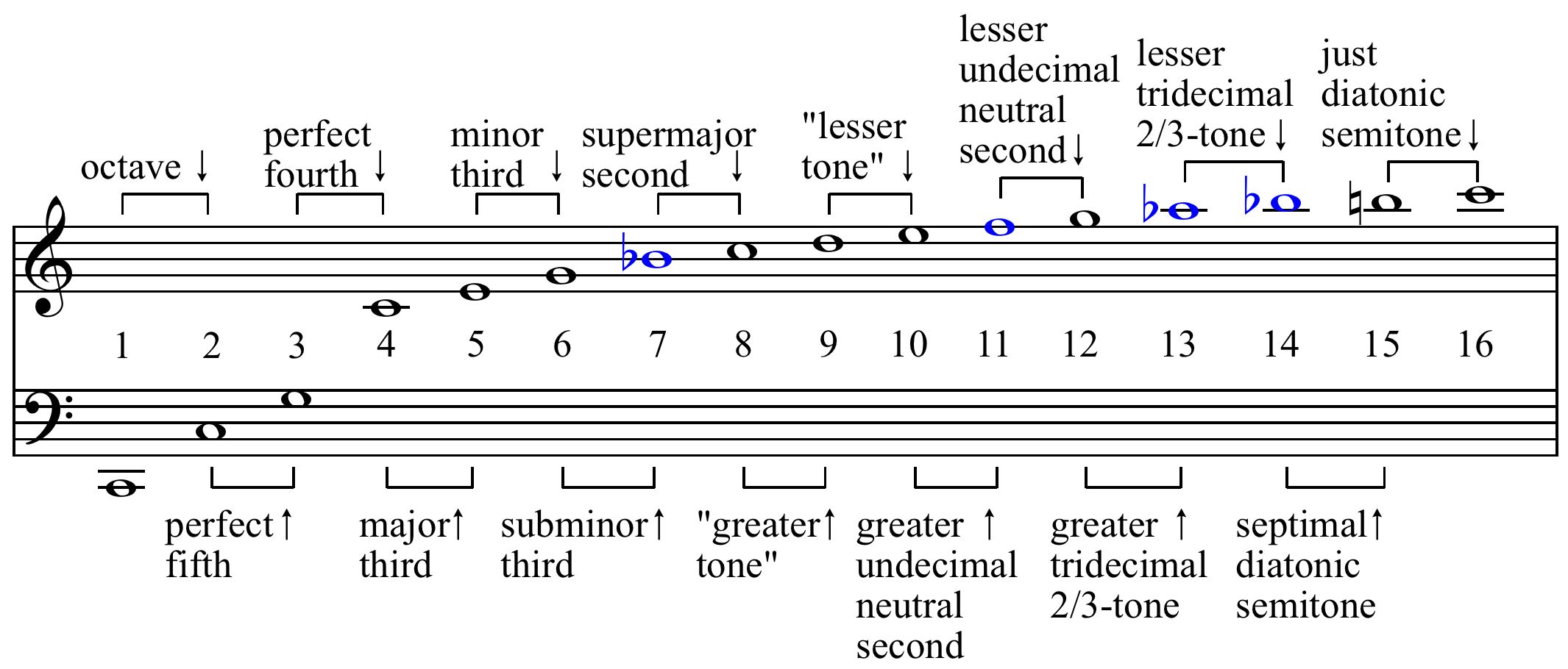 harmonic series intervals - آموزش تئوری موسیقی آنلاین و حضوری