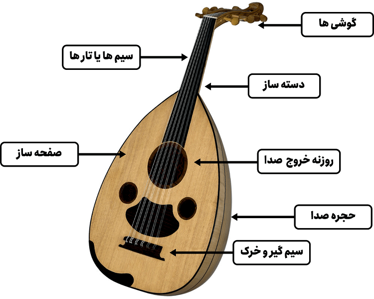 معرفی کامل اجزای ساز عود