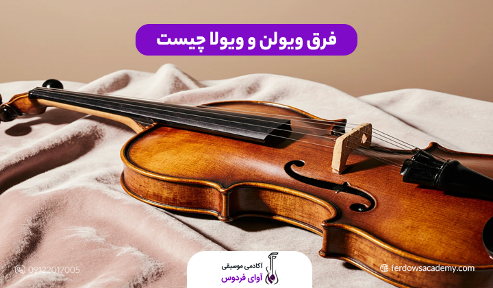 فرق ویولن و ویولا