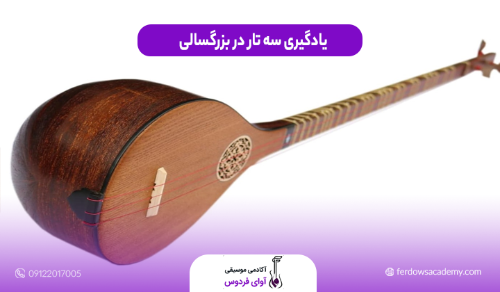 یادگیری سه تار در بزرگسالی