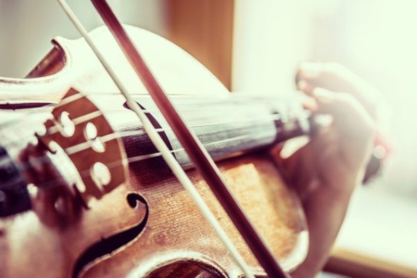 violin
