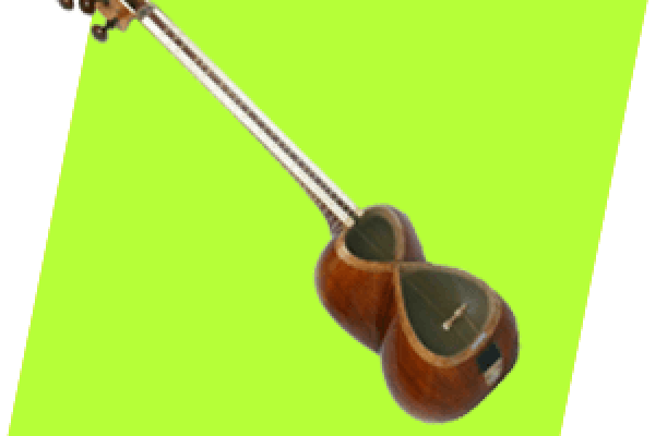 معرفی و آموزش تار