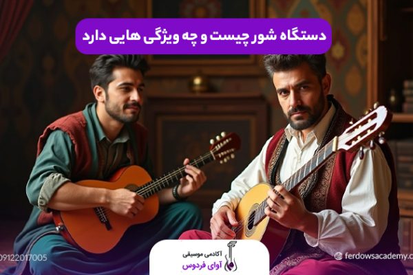 دستگاه شور چیست