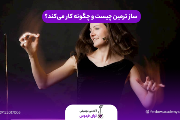 ساز ترمین چیست و چگونه کار می‌کند؟