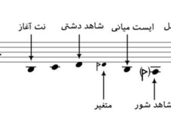 شاهد نت